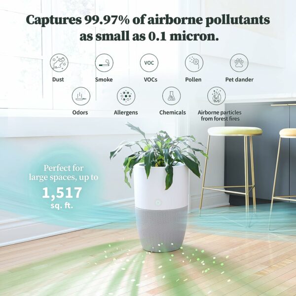 Plant-Powered Air Purifier